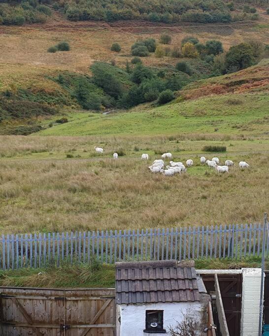 Welsh Miners Cottage Four Bedroom House Treherbert Dış mekan fotoğraf
